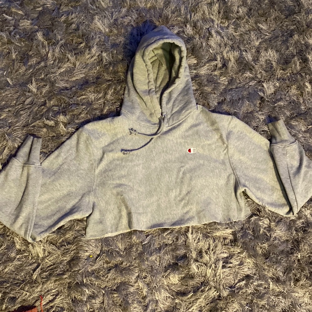 Cropped Champion Sweater